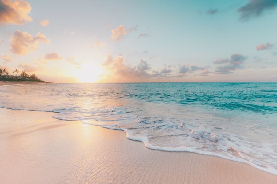 Plage et cocotiers aux Antilles (visuel d'ambiance)